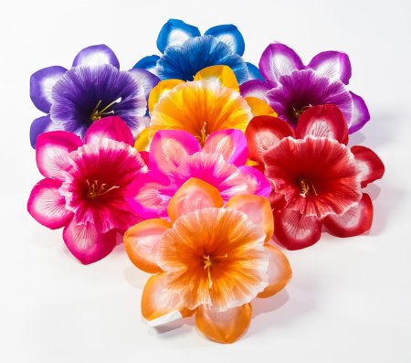 Насадка нарцисса