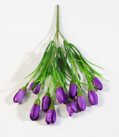 Крокус Капрал 12 цветков