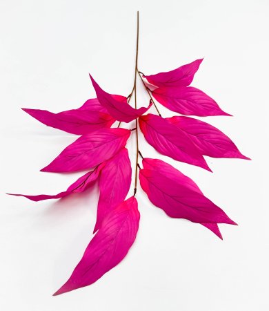 Аглаонема декоративная розовая