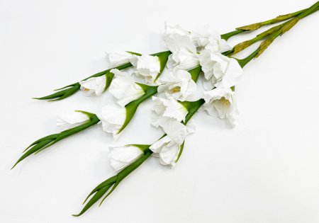 Гладиолус "Цветочный калейдоскоп" белый