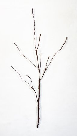 Ветка темно-коричневая малая