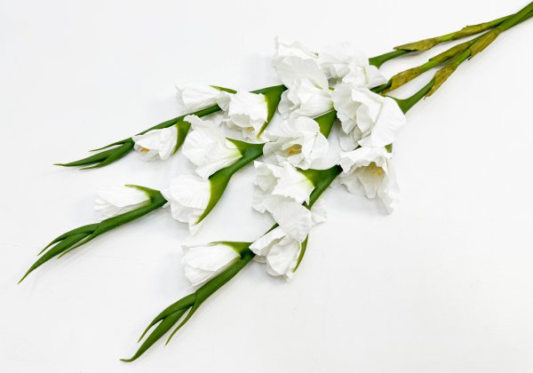 Гладиолус "Цветочный калейдоскоп" белый