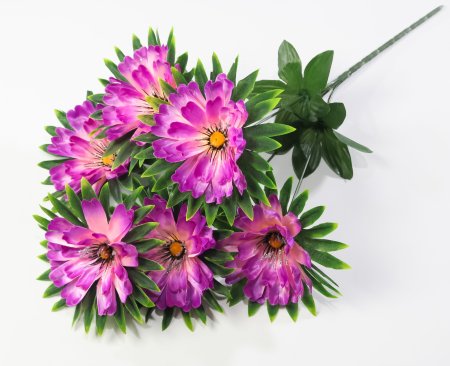 Георгин "Свирель" 6 цветков