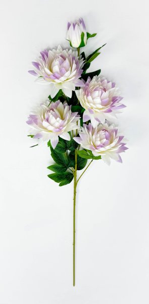 Лотос "Гейша" 4 цветка 1 бутон