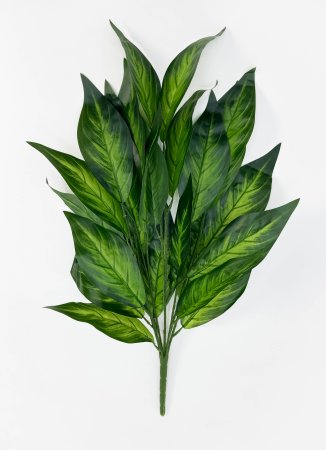 картинка Диффенбахия 7 веток от магазина KALINA