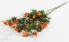 Кустовая роза оранжевая