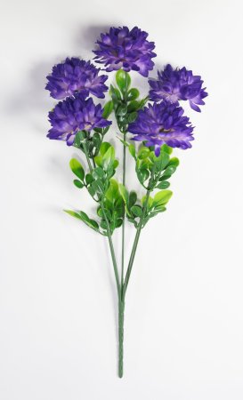 Хризантема "Гавриш" 5 цветков