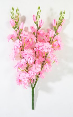 Яблоня "Астарта" 5 веток