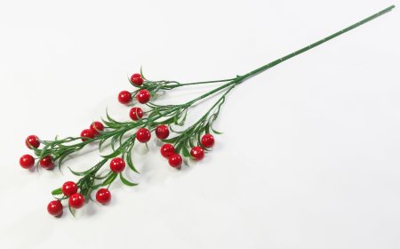 Ветка с крупными красными ягодами