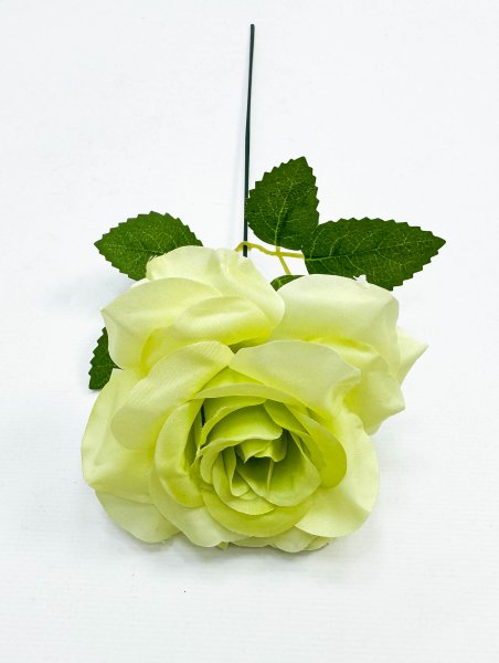 Роза штучка "Палома" зеленая