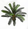 Пальма Цикас 90 см