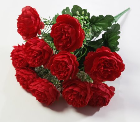 Пион "Зенит" 12 цветков