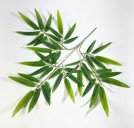 картинка Лист бамбука крупный от магазина KALINA