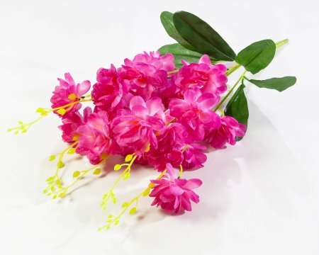 Орхидея "Загадка" 5 веток