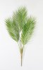 картинка Ветка бамбуковой пальмы 5 листов от магазина KALINA
