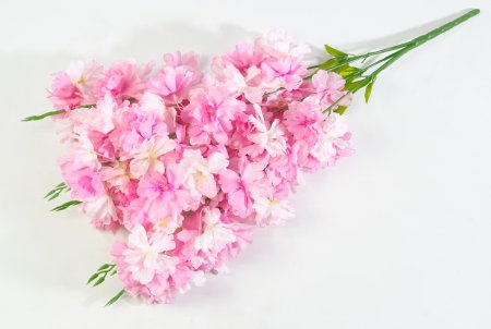 Ветка яблони "Неженка" 5 веток