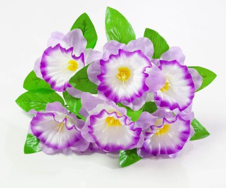 Петуния 7 веток