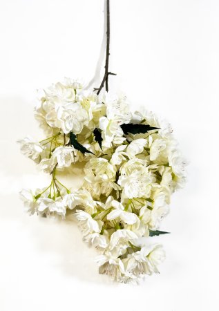 Ветка яблони "Мелба" белая