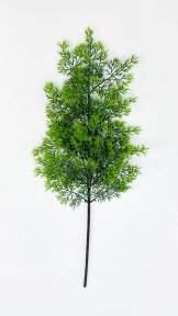 картинка Туя "Летняя пора" 2 от магазина KALINA