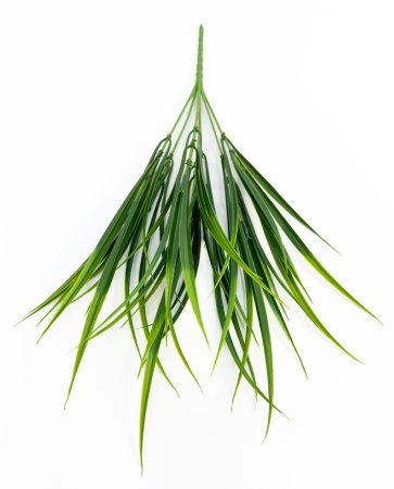 картинка Осока "Майская" 7 веток  от магазина KALINA