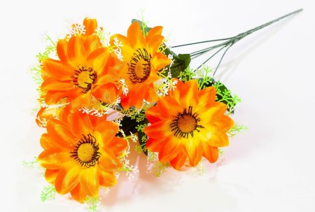 a176ac477a023e653b3c047b28f846dd