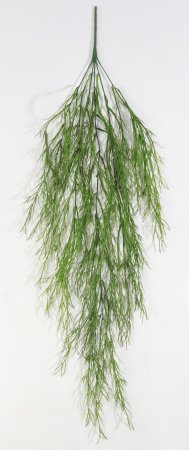 картинка Ампельная зелень Фрайз лето от магазина KALINA