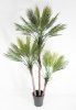 Пальма Арека 170 см БЕЗ КАШПО
