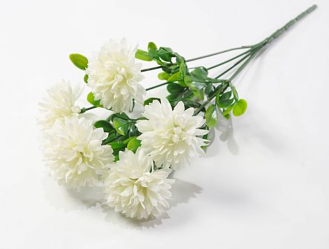 Хризантема "Гавриш" 5 цветков от магазина KALINA являющийся официальным дистрибьютором в России 