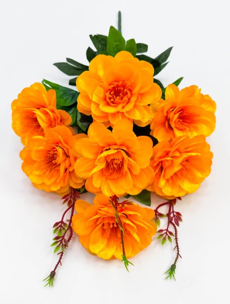 Георгин "Адъютант" 7 цветков