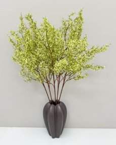 Ветка «Нефритовая лоза»