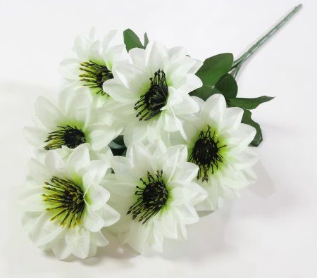 Букет "Пыжик" 6 цветков