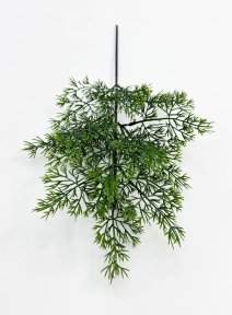 картинка Туя "Летняя пора" темно-зеленая от магазина KALINA