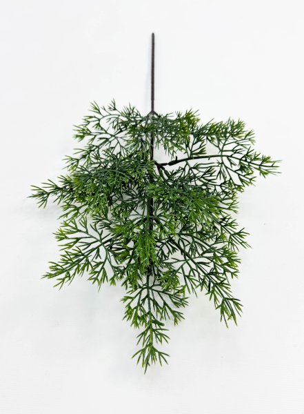 картинка Туя "Летняя пора" темно-зеленая от магазина KALINA