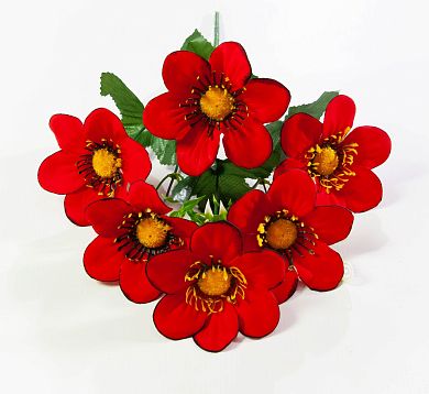 Бархатный георгин "Мини" 6 цветков от магазина KALINA являющийся официальным дистрибьютором в России 
