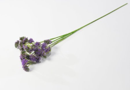 Ветка "Джуэл"