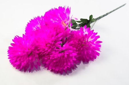 Букет хризантемы "Талисман" 7 цветков