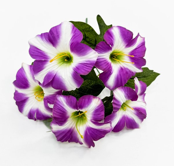 Петуния "Легкая волна" 5 цветков