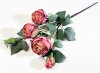 Ветка пионовидной розы "Октава" индийский красный