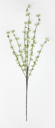 Ветка декоративная Мелкоцвет