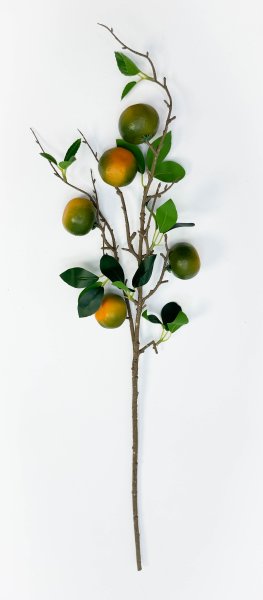 Ветка зеленых мандарин 5 плодов