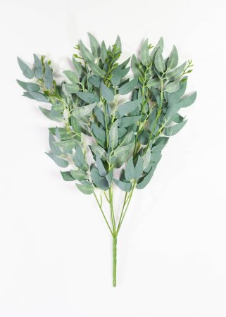 картинка Ветка оливы 2 от магазина KALINA