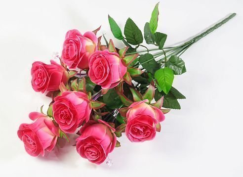 Букет роз "Эквадор" 7 цветков от магазина KALINA являющийся официальным дистрибьютором в России 