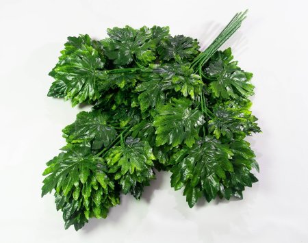 картинка Лист винограда крупный от магазина KALINA