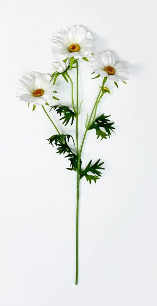 Георгин белый 3 цветка