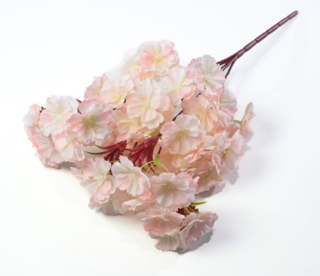 Букет яблони "Майя" 5 веток