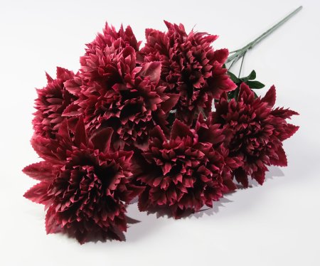 Астра "Женевьева" 7 цветков