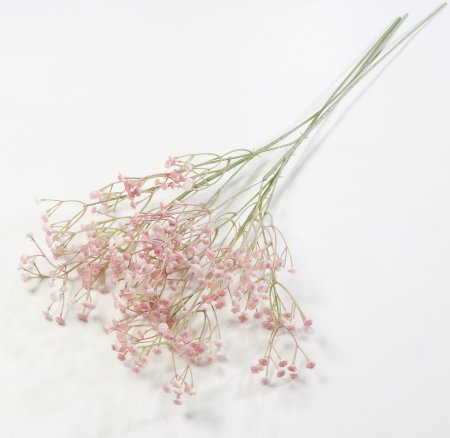 Ветка гипсофилы Чайная роза