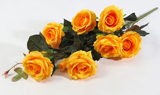 Ветка роз "Альф" 7 цветков 2 бутона от магазина KALINA являющийся официальным дистрибьютором в России 