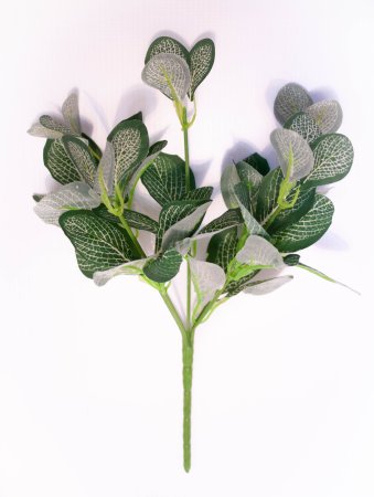 Ветка Фиттонии 45 листьев