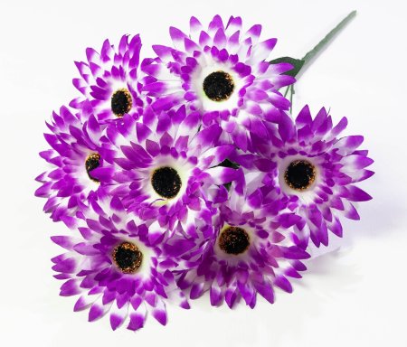 Букет гербер "Липстик" 7 цветков